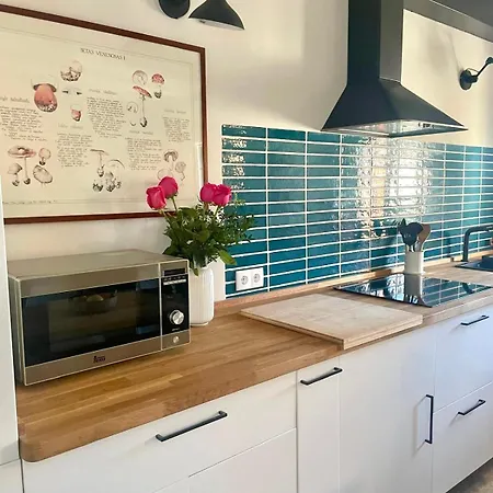 Дом отдыха Casa Del Concejo Aire Acondicionado Y Jardin Сеговия